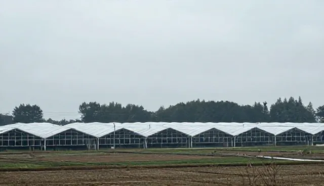 技术性能优化如何解决系统响应延迟问题